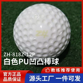 其他球类配套;其他发球机;棒球