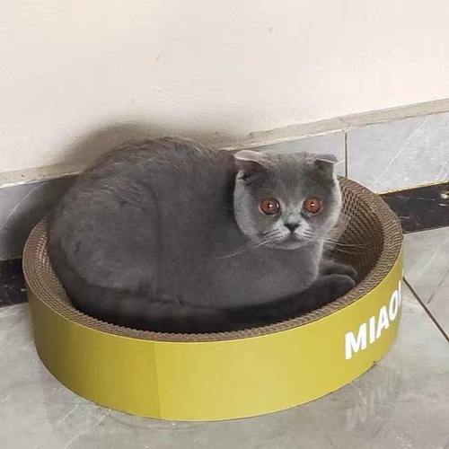 Cat scratching board, cat nest, cat basin, non-shedding claw grinding artifact, wear-resistant corrugated paper cat scratching mat, four-season cat supplies, toys