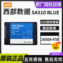 适用西部数据Blue SA510 250G/500G/1T/2T/4TB固态硬盘台式笔记本