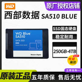 适用西部数据Blue SA510 250G/500G/1T/2T/4TB固态硬盘台式笔记本