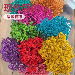 �S�����l�羳��ɫ������ˮ���ݬF�����s�L�Ӽ��b� diy���Ĵ���