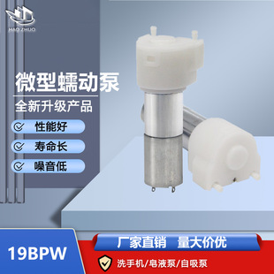 19BPW΢����ӱ�������ֱ��6V12V ϴ�֙C΢����Һ��