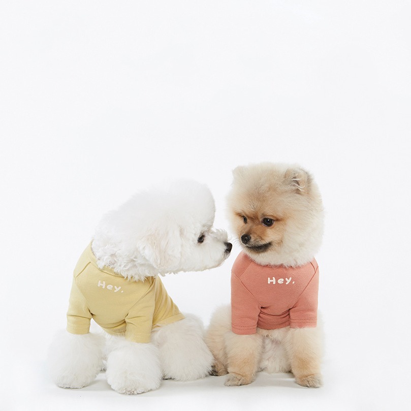En stock nuevo ins Corea del Sur estilo coreano simple impreso T ropa para mascotas gato y perro tocando fondo ropa para mascotas