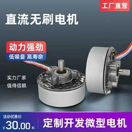 微型电动机