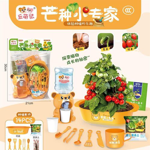 Children's DIY small potted plant play house toy scientific experiment plant seed vegetable planting blind box observation tool