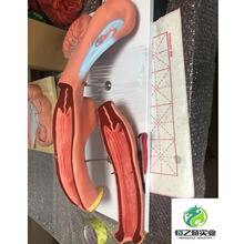 ţ�ӌmģ�� ţ�ӌm����ģ�� ĸţ�ܾ��̌Wʾ��ģ��