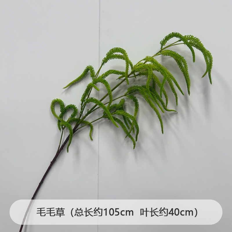 芦荀草绿植花龙须草假花白绿森系婚庆装饰自然风背景插花路引|undefined