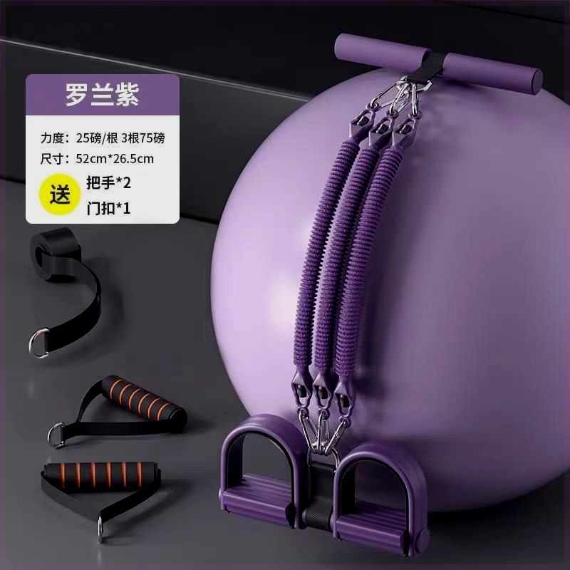 롤랜드 퍼플 3 75 파운드 도어 버클 2 핸들