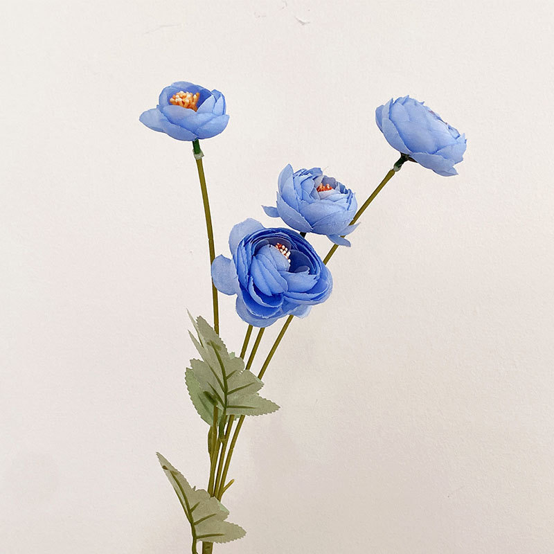 4 헤드 티 로즈 블루