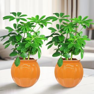 �˷���ؔ���_ľ�ļ������҃��̨�k����������Gֲ���Ի��ܰlؔ��