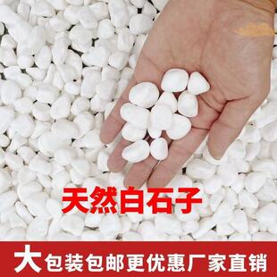 40��Ȼ��ʯ�쾰ͥԺ���^�·���辰ʯ���~�ן��Ҹ׶����Z��ʯ