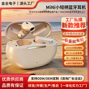 �羳�¿�˽ģTWS��o���{�����C���ʽ5.4�\���̄�늸��A�������l
