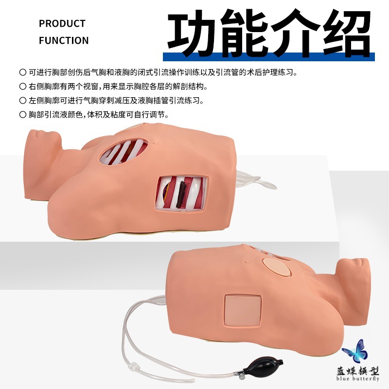 ��ǻ��ʽ����ģ�� ��ǻ����ѵ��ģ�� ��ǻ���˺�������������ģ��