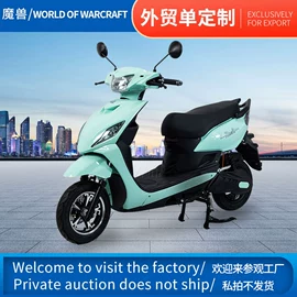 其他电动车;其他摩托车;两轮摩托车
