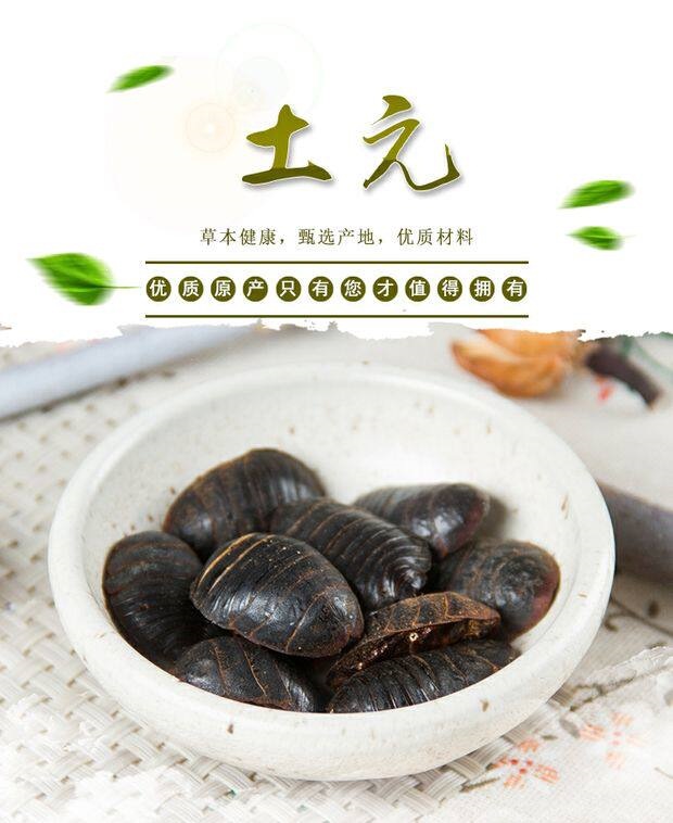 Dried Ground Beetle Tu Bie Chong 500g Loose Traditional Chinese Herb overview