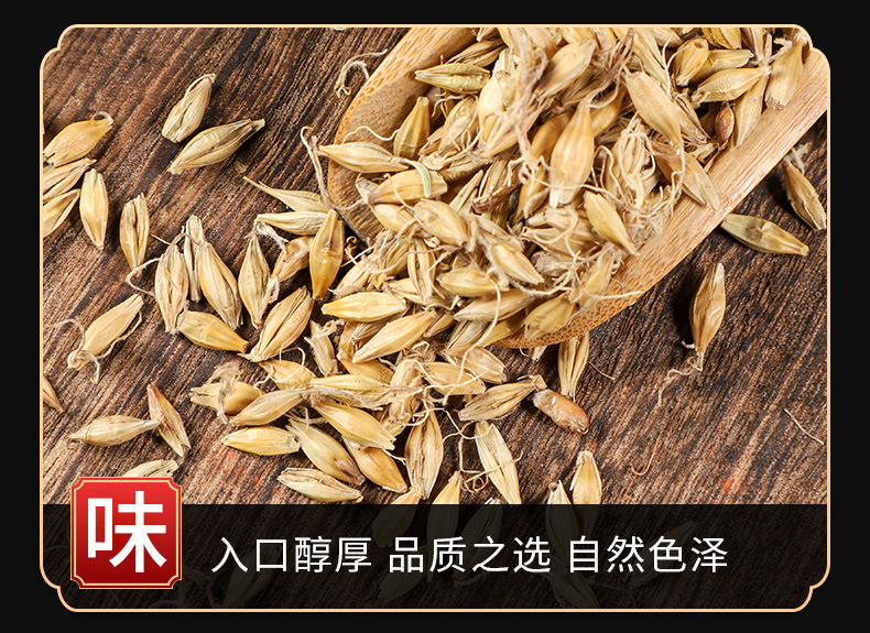 Malt (Hordeum vulgare) — Dried Food-Herb Grain for Tea, Soup & Congee key features