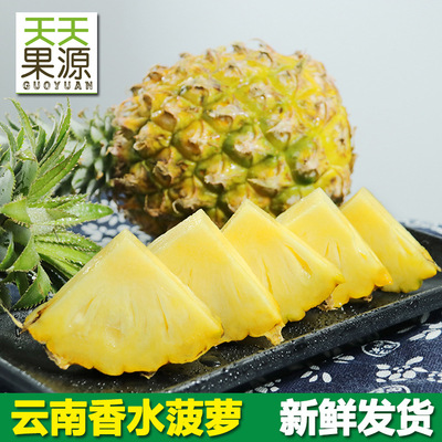産地直發雲南河口香水菠蘿8斤整箱新鮮水果批發非海南金鑽鳳梨