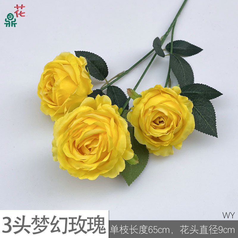 3 đầu mơ mộng hoa hồng WY màu vàng