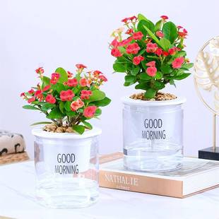 ����÷�F���Ļ����Ԏ����ļ��_�����҃��k�����̨���B����ֲ��