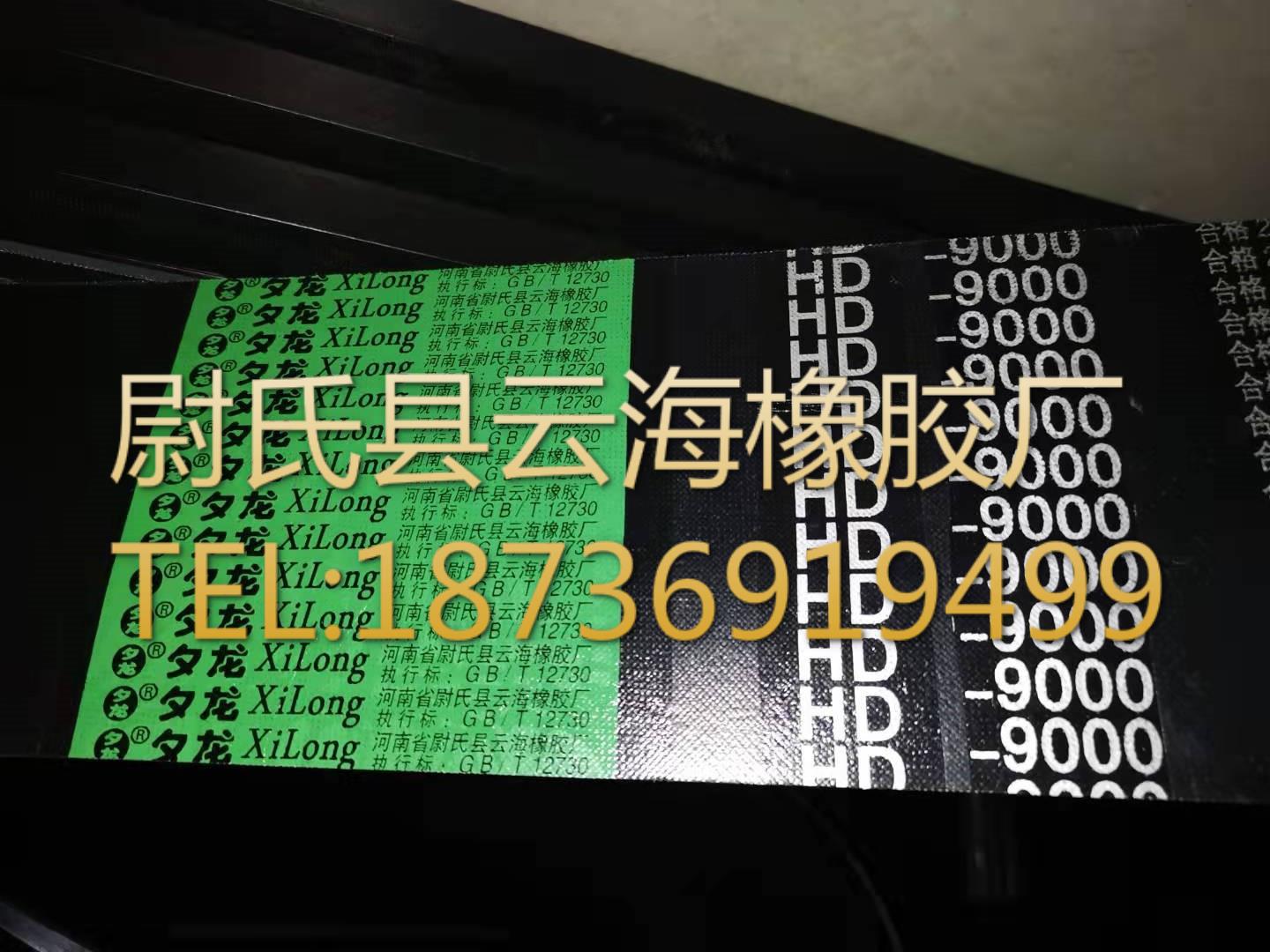 普通V带联组带 D型联组带 矿山设备用联组带 D型联组9000mm