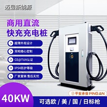 30/40/60kWֱ����������Դ�������վ���׮��Ӫŷ��˫ǹ���׮