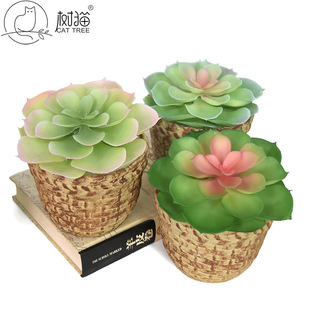 �߷������ֲ��12cm����ָ�ܛ�z�������b��������ٻ����Ԕ[��