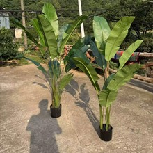 ���W�L����Gֲ��ֲ���ѿ����˽��͏d�b��҃����ԙ��������B�Gֲ