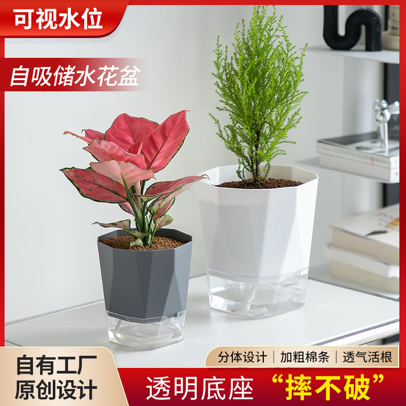 Cross-border Plastic Transparent Lazy Man Automatic Absorbent Flower Pot Hydroponic Hydroponics Green Plant White Large Water Storage Pot No Watering
