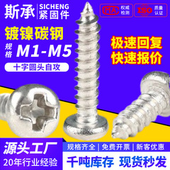 PAニッケルメッキ十字溝丸頭タッピング締め付けネジ盤頭タッピングマイクロネジm 1m 2m 3m 4m 5
