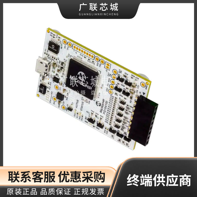 PG164100 硬件调试器 MPLAB SNAP DEV BOARD 全新原装