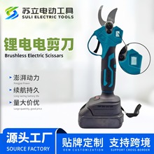 �羳21V늼���늄���֦�� ���ʽ�@�ֹ�������֦���o����֦�޼�