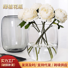 ガラス花瓶水培魚槽微景観ガラス器瓶多肉植物装飾品水培花器