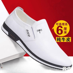 ������Ƥ��Ь���eƤЬ��ɫһ�_�Ń�����͸��ܛ��Ь�\�����e�A�^