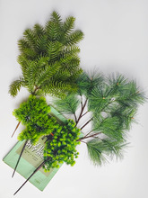 ������֦����_�h�ɼ�ӭ�������~�~������ɼ���ɘ������ɺ��ɘ��~