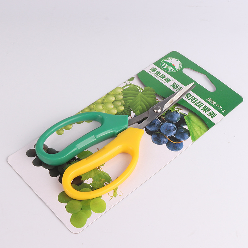 Grape pruning, tomato pruning, tomato pruning, fruit picking pruning, upturned head, yellow green handle, sparse fruit pruning, orchard fruit picking
