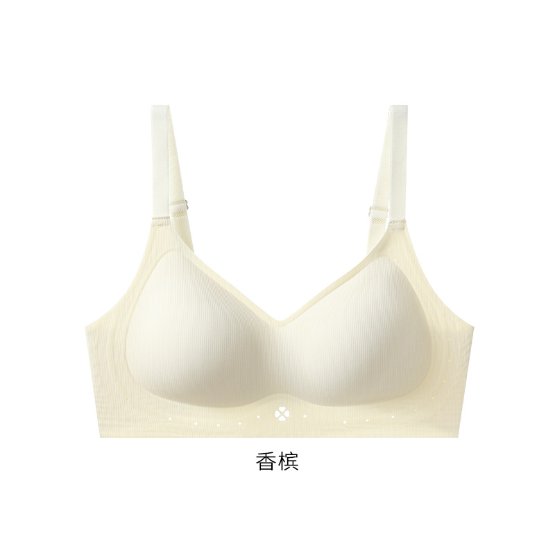 샴페인