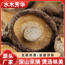 �㹽������؛500g��ɽ�^����؛���㹽ԭľ����ʳ�þ�Ģ���S�����l