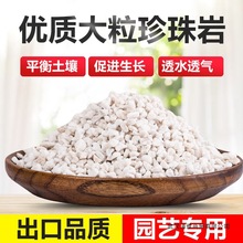 珍珠岩颗粒养花用膨胀珍珠岩硬质多肉至蛭石园艺兰花营养土大