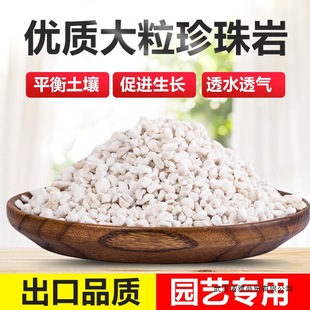 �������w���B������Û������Ӳ�|��������ʯ�@ˇ�m���I�B����