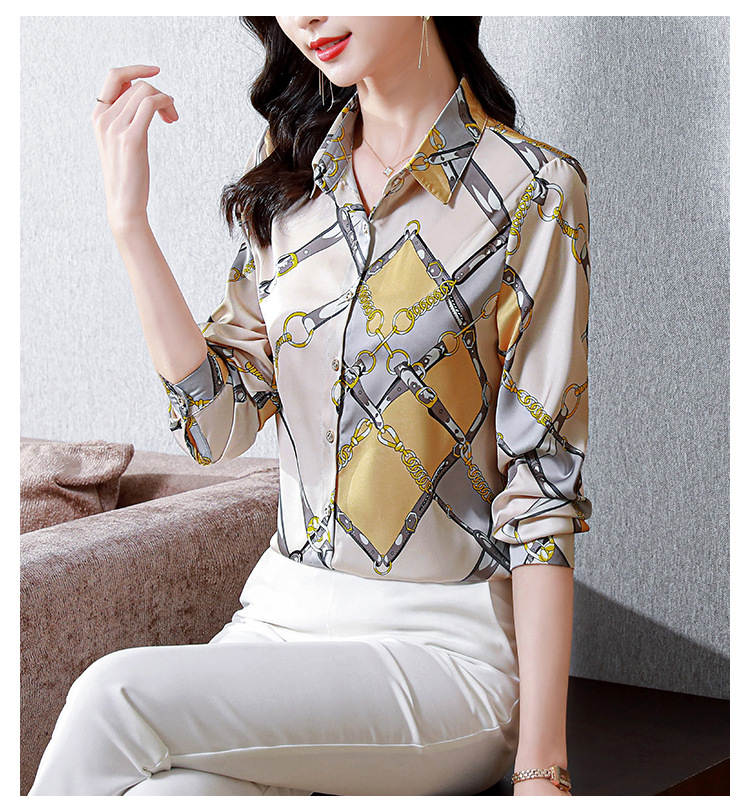 Silk Shirt Image