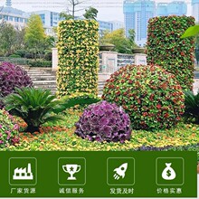 �@ˇ�������@�־G�����w���^���� �V�����^������⻨�ܻ���