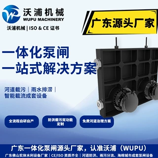 广东现货一体化泵闸河道污水设备泵双流泵防洪排涝雨污分流截流井