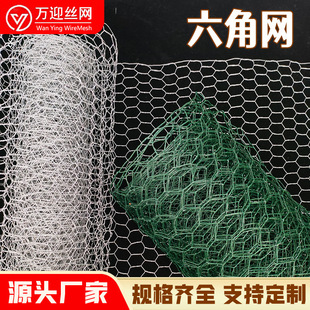 �u�\�W���R�d���u���ܔQ���W�Bֳ���o�W��\��ˇ�F�z�W�Gɫ���ǾW