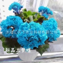 ÿļ׷N҃Ȼ̨ﲥNӟN^