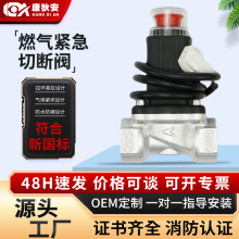 燃气管道煤气泄漏报警器家用燃气自动切断阀厨房专用天然气直通阀