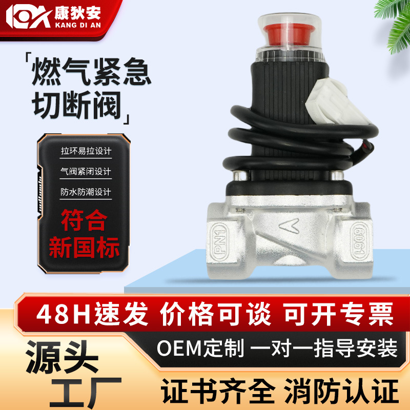 燃气管道煤气泄漏报警器家用燃气自动切断阀厨房专用天然气直通阀