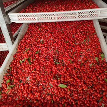 ՚ӺəC raƷ șʽO ȫԄ늺ɷ