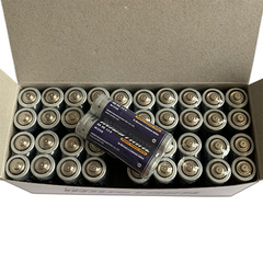 5號電池PAIRDEER雙鹿 AA五號R6P計算器電子稱玩具鐘錶電池英文版