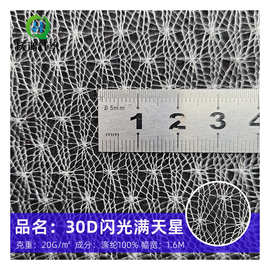 厂家批发经编涤纶30D闪光满天星婚纱网纱装饰布舞台服绣花网布