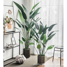 ���ֱ��W�Gֲ���������B���˽��͏d�������ֲ���쾰�辰�����쾰